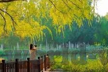 开云体育官方平台电话-正规渠道享受体育乐趣，为何应选择开云体育官方平台电话